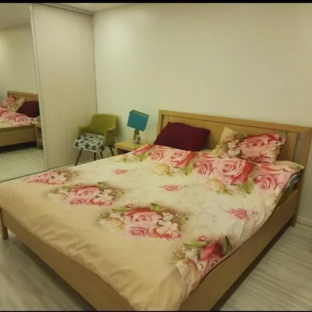 Final4 Euroleague: Renovated Fully Furnished Central Flat Apartment Kaunas