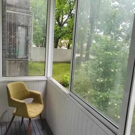 Final4 Euroleague: Renovated Fully Furnished Central Flat Kaunas